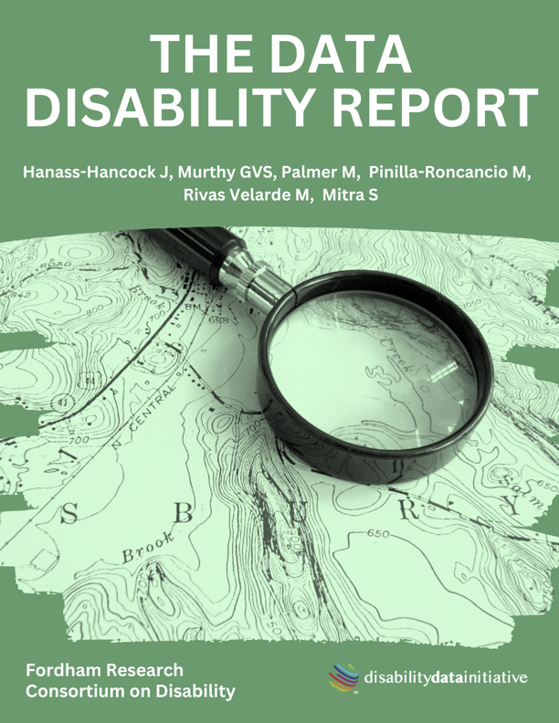 Disability Data Initiative 2023 Report Cover